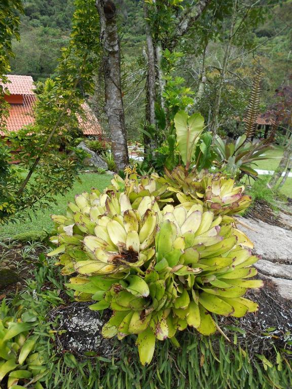 Country Ville Hotel Teresopolis Exterior photo